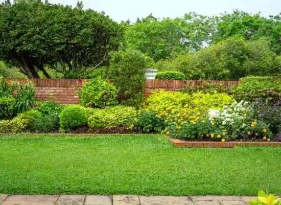 landscaping services Roanoke Rapids